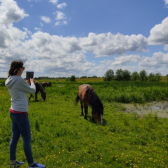 Lidka, Zielonka