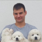 Mateusz, Wrocław