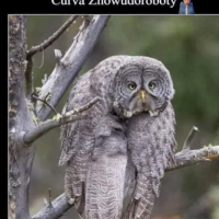 , 