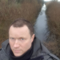 Piotr, Wołów