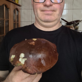 Tomasz, Wrocław