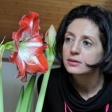 Katarzyna, 